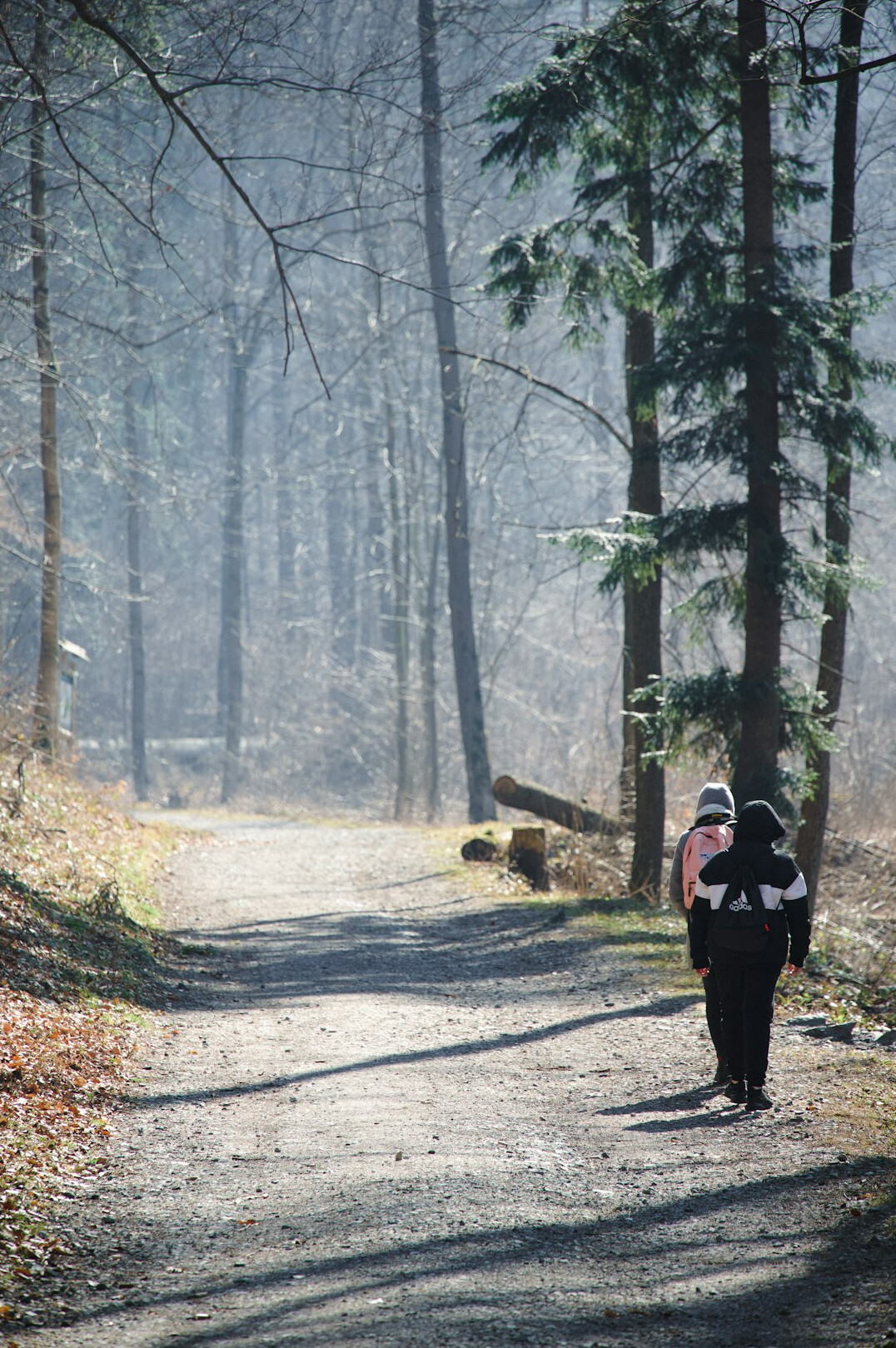romantic couple walking in polish forest