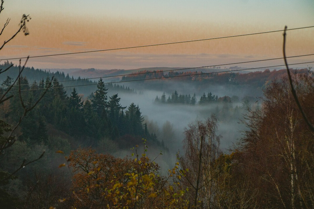 Misty forest valley at sunrise