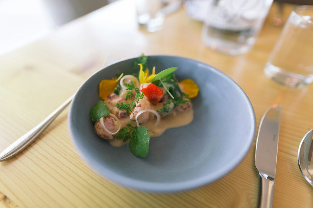Plated gourmet dish on a restaurant table