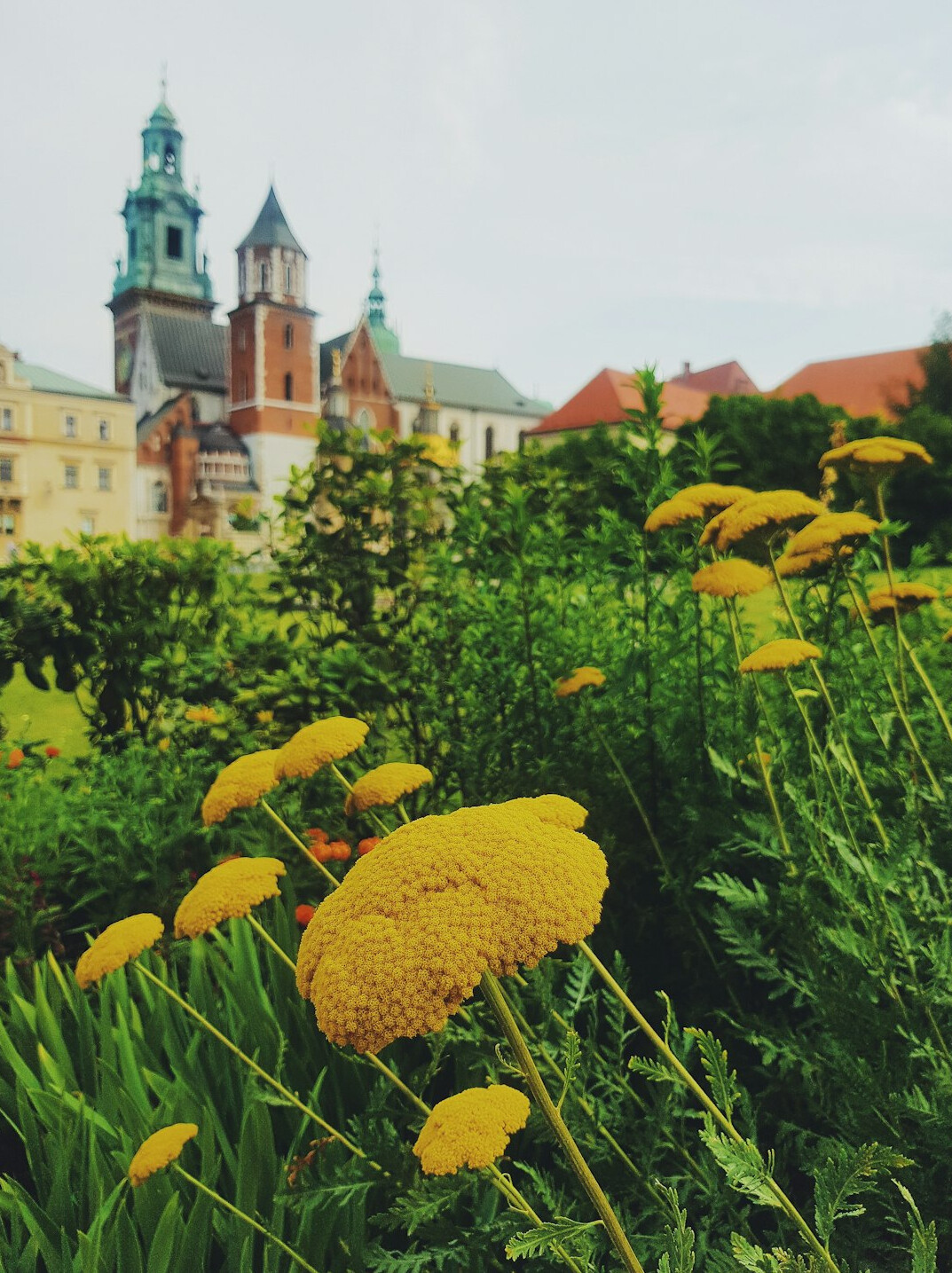 quiet park in krakow
