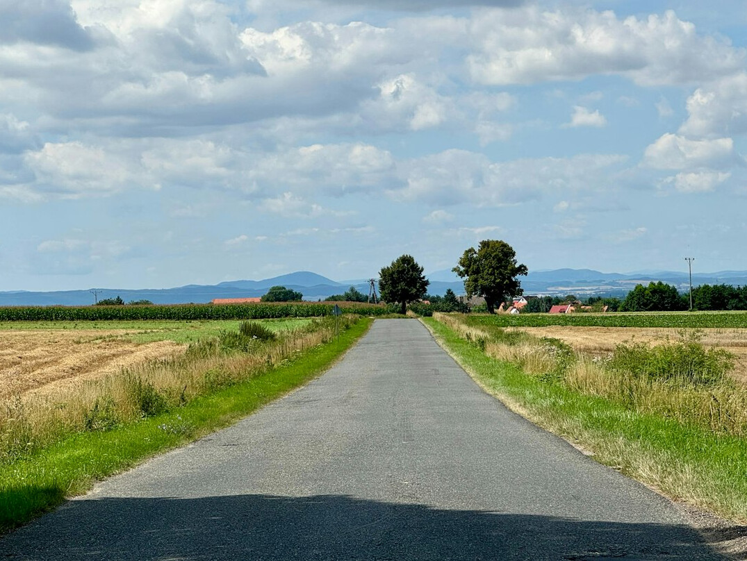 polish countryside road